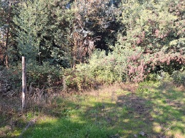 Parcela en venta en Linares, Linares