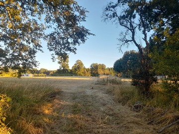 Parcela en venta en Villarrica, Villarrica