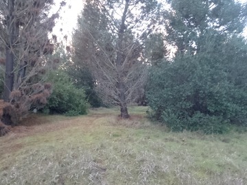 Parcela en venta en Galponcillo, Ránquil