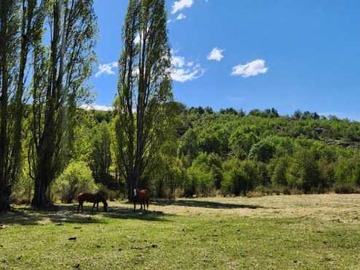 Terreno en venta en Hermoso terreno Cochrane, Río Colonia (166113), Cochrane