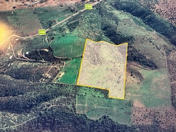 Terreno Agricola en venta en Terreno Agrícola en San Pedro