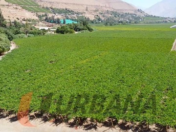 Parcela en venta en Parcela en loteo miraflores 5.300m2, Paihuano