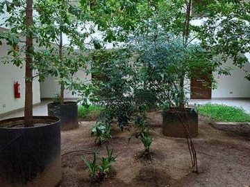 Venta / Departamento / Ñuñoa