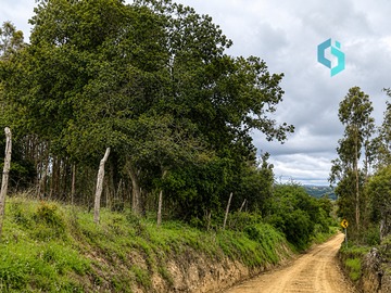 Terreno Agricola en venta en Navidad, Navidad