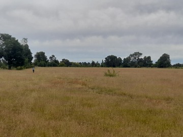 Terreno Agricola en venta en sector culenco, Pemuco