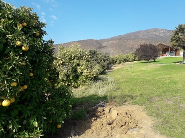 Venta / Terreno Agricola / Melipilla