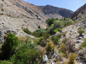 Terreno en venta en Huanta, Vicuña