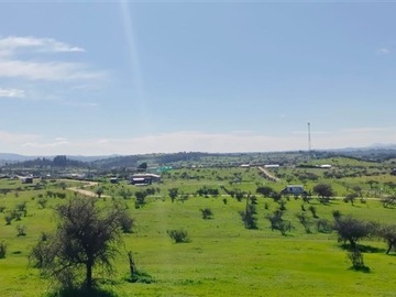 Venta / Parcela / Litueche