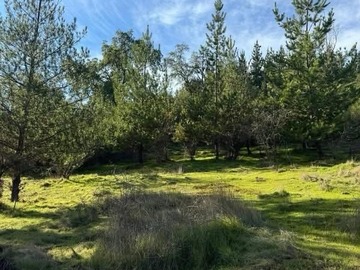 Parcela en venta en Chépica, Chépica