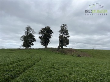 Terreno Agricola en venta en Campo de 59 hectareas con orilla de lago y camino asfaltado a solo 15 minutos de Frutillar Bajo y 16 minutos de Puerto Octay., Frutillar