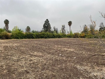 Terreno en venta en Av del Valle, Colina