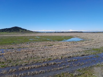Terreno en venta en Retiro, sector Cura Cura, Región del Maule, Chile, Retiro