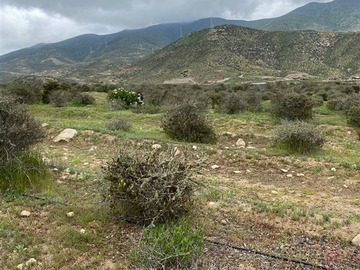 Parcela en venta en Sector el Rosario Estancia Carmin del Elqui, La Serena