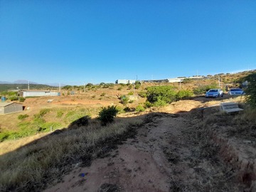 Terreno en venta en En Condominio, 5.000 m2 con Rol Propio (173091), Limache - 4 dormitorios, 1 baño