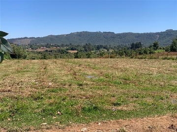 Parcela en venta en San Clemente, San Clemente