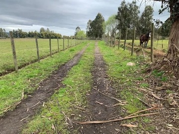 Terreno Agricola en venta en Sector Santa Lucrecia, Pelarco