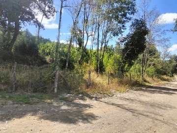 Venta / Terreno / Freire