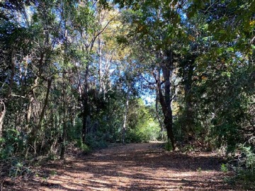 Parcela en venta en Camino a las termas, km. 42, Pinto