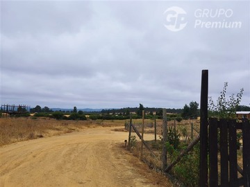 Sitio en venta en Resto del Fundo Mallermo, Marchigüe