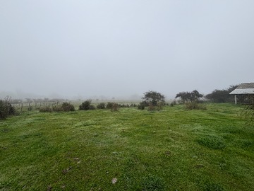 Terreno Agricola en venta en Amplio Terreno de 8, 15 Hectáreas en San Carlos, Ñuble