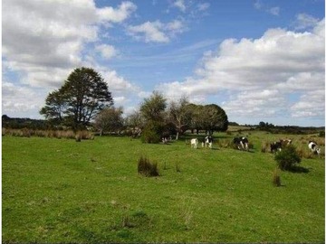 Parcela en venta en Chonchi, Los Lagos, Chonchi