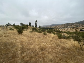 Parcela en venta en Ruta G-60 / Camino Viejo (La Campiña), Melipilla