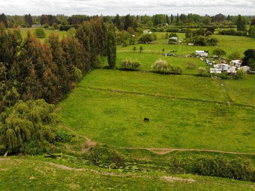 Terreno en venta en Hectarea Sector Trecaimo, San Pablo Osorno (172528), San Pablo