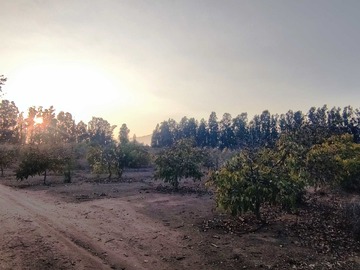 Terreno Agricola en venta en Derechos de Agua. Apto subdivisiónn (180529), Limache