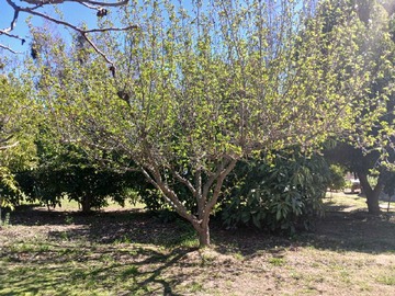 Terreno en venta en Linda parcela en puendo (119971), Putaendo - 3 dormitorios, 1 baño