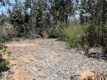 Terreno Industrial en venta en Terreno Industrial / Placilla / Camino La Pólvora / Alto Puerto, Valparaíso