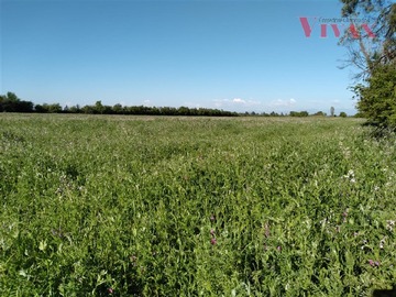 Terreno Agricola en venta en Oportunidad, San Nicolás