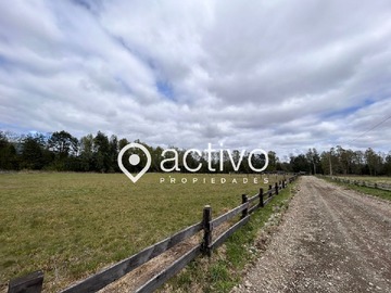 Terreno en venta en Panguipulli, Panguilelfún, Panguipulli