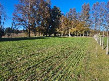 Parcela en venta en Hrcq+qpf villarrica, araucanía, Villarrica