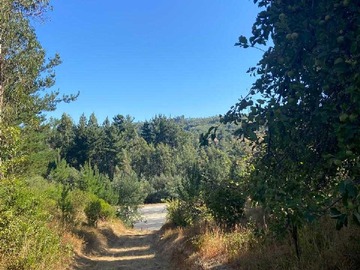 Terreno en venta en Parcela camino a Cabrero (166976), Cabrero