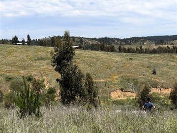 Parcela en venta en Paredones, Bucalemu, Provincia Bernardo O´Higgins, Paredones