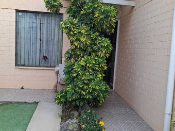 Casa en arriendo mensual en Casa Amplia y Luminosa en Sector Tranquilo (170517), Limache - 3 dormitorios, 2 baños