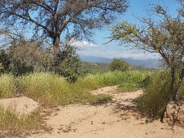 Parcela en venta en Limache, Limache
