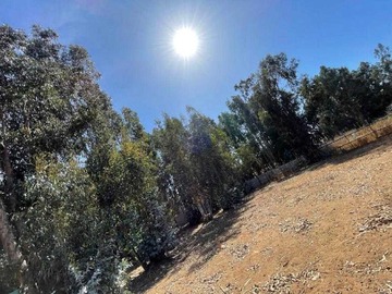 Terreno en venta en Parcela en Mantagua 5.000 metros (175429), Concón