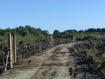 Sitio en venta en Cerca de rio Huicha 5000 m2, roles independientes, Ancud