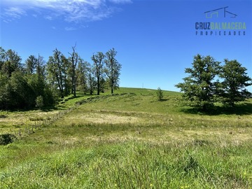 Terreno Agricola en venta en Colegual chico, a 10 kms de Llanquihue y 22 kms de Puerto Varas, Llanquihue
