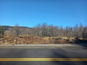 Terreno en venta en Oportunidad, sitios Malalcahuello-Corralco (182440), Lonquimay