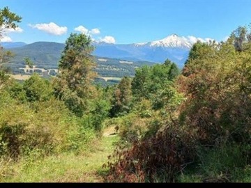 Venta / Parcela / Pucón