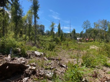 Parcela en venta en Villarrica, Villarrica
