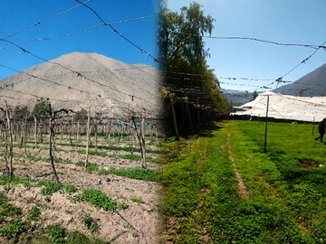 Terreno Agricola en venta en Terreno Agrícola en Venta Peralillo Vicuña 1, 2 Ha, Con Água.