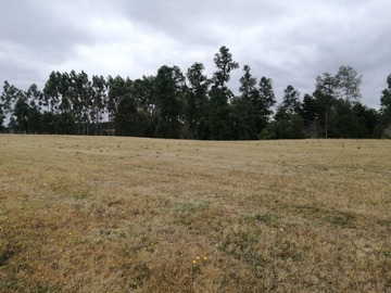 Terreno Industrial en venta en Escuela Rural Cañitas, Los Muermos