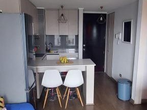 Departamento en venta en Toesca - Vergara, Santiago - 1 dormitorio, 1 baño