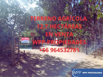Terreno Forestal en venta en Loma del Medio., El Quisco