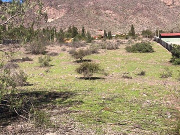 Terreno en venta en Parcela en el Maitén (74701), Vicuña