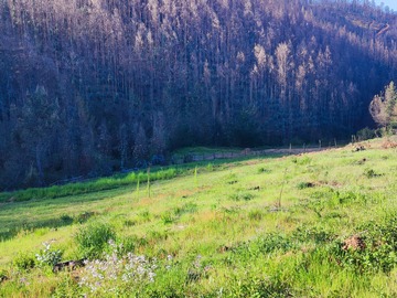 Sitio en venta en Río lia, Santa Juana