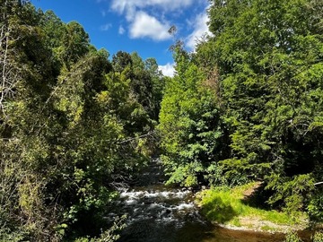 Parcela en venta en Chesque bajo, Villarrica